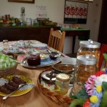 villa buzzati bed and breakfast belluno 5 (1)