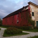 villa buzzati bed and breakfast belluno 7